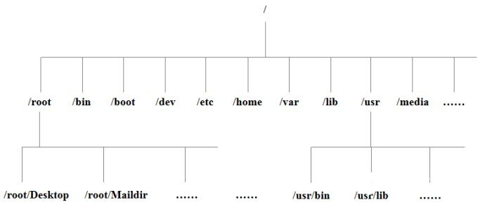 Linux 系统目录结构图1