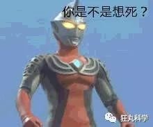 在《程序员死绝的世界》里，想通关必须写代码图5