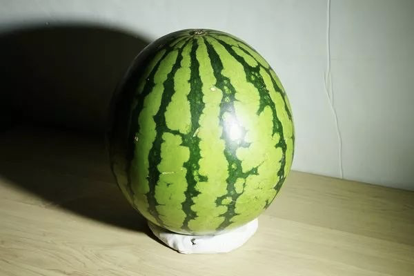 哼！等我脱光衣服然后撞开这扇玻璃门，你们就都完了！图24