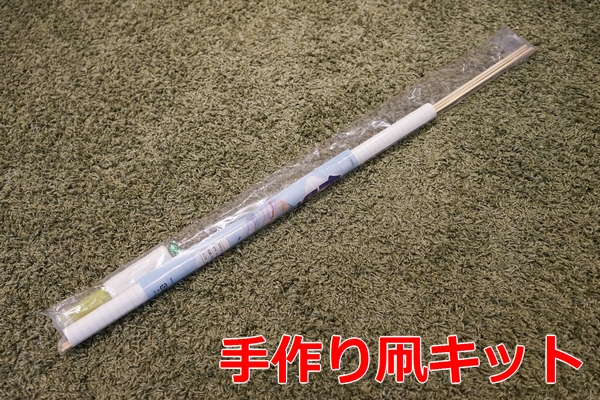 用自己的写真照片做成风筝来放“合理....”吗？图6