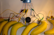 用香蕉做的电容触摸按键图1