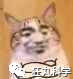 人死了以后身体是如何消失的？图5