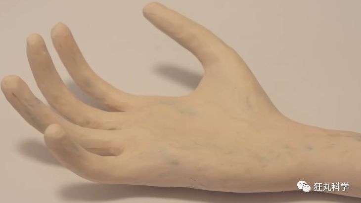 人死了以后身体是如何消失的？图15