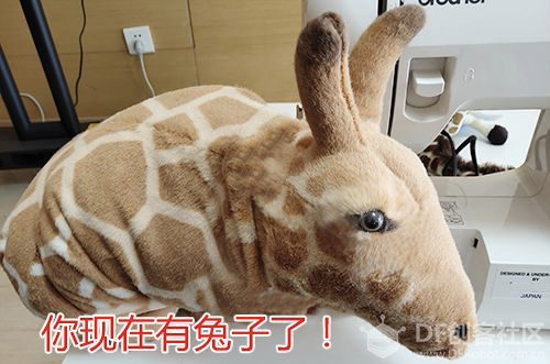 千万不要学别人买长颈鹿呀！！图11