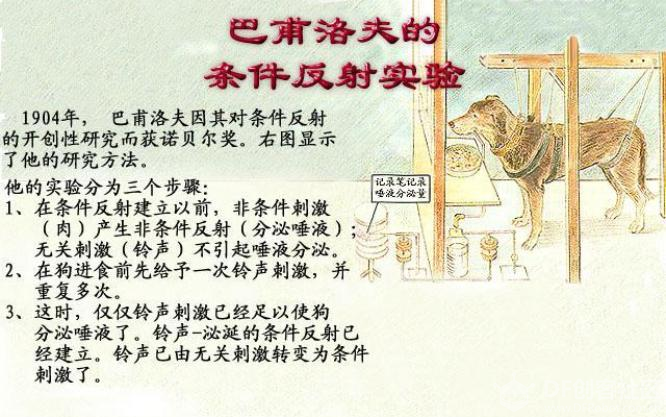 小MU|小狗狗，认数字-1图3