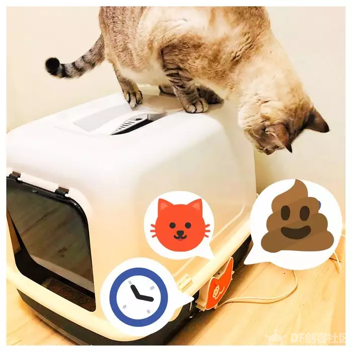 爱猫人士看过来！图1