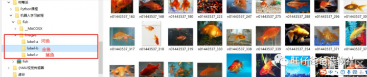树莓派入门及人工智能案例图34