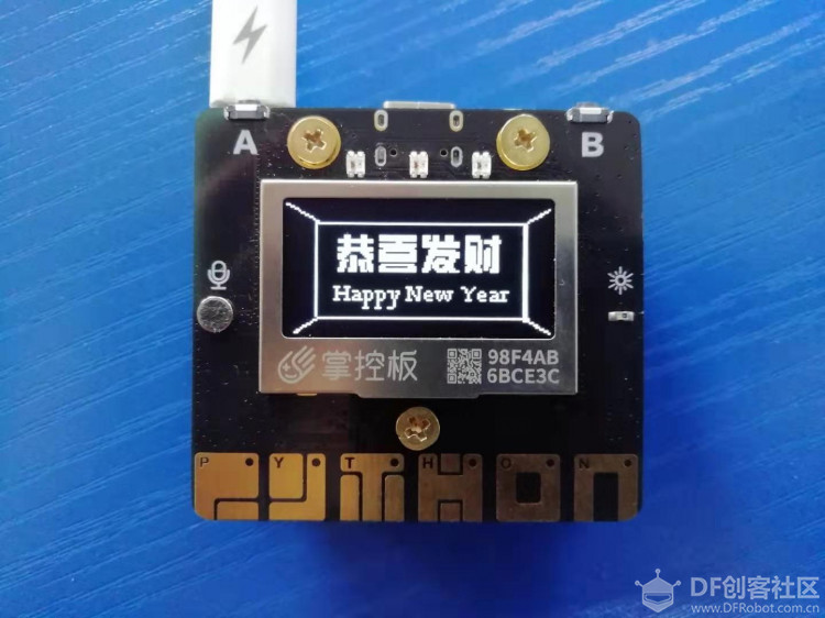 溯源·中国年——新年·印象图13