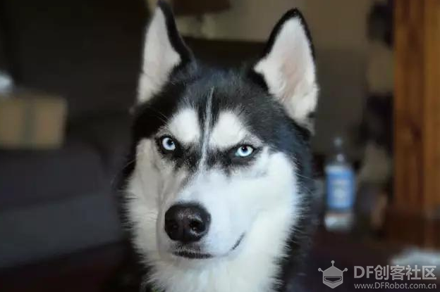 [骑驴玩儿漂移]Huskylens 非专业开箱及在树莓派派上更新固件图1