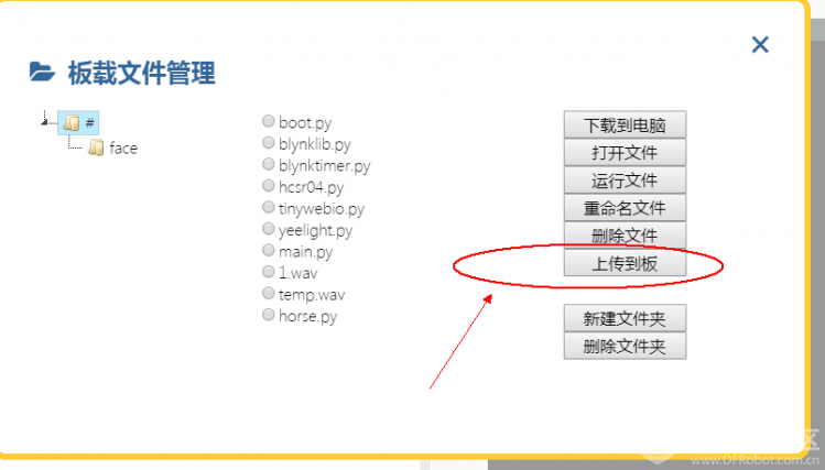 新的一年，我要策马奔腾图12