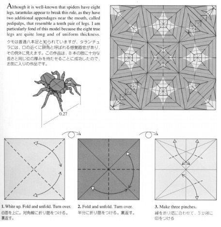 记东北师大附中实验小学上海研学冬令营活动-四年级批次图5