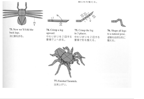 记东北师大附中实验小学上海研学冬令营活动-四年级批次图6