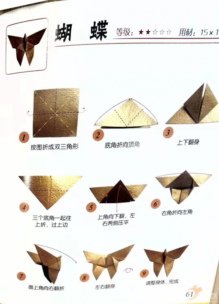 记东北师大附中实验小学上海研学冬令营活动-四年级批次图8