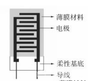 预防颈椎曲度变差图4