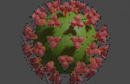 分享一个冠状病毒3D模型图1
