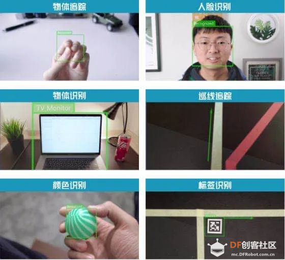二哈识图：其实，你们都是我爸爸图4