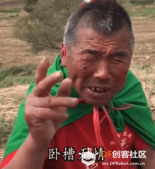 我的哈士奇终于到了！！！！！图2