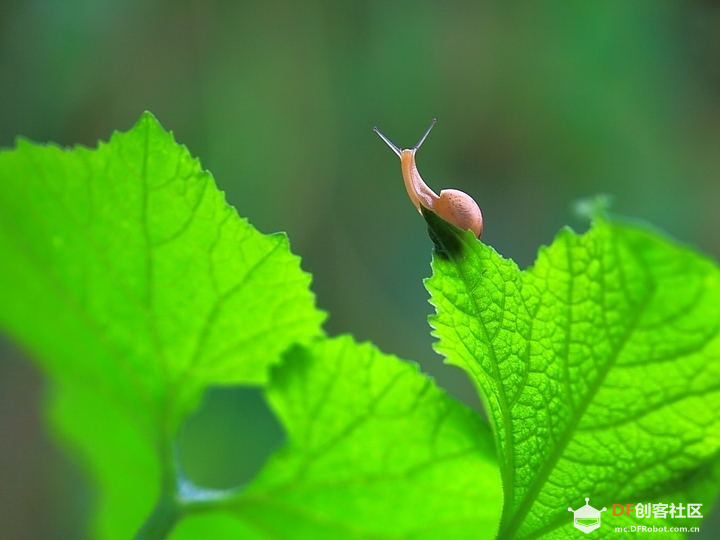 GDW|许愿机器人（II）--人脸识别再探图1
