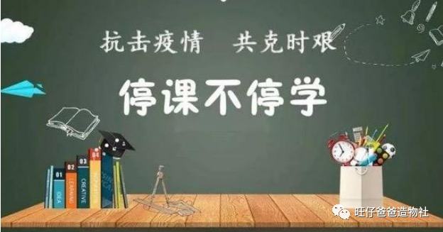 旧物改造 | 你成为网红还差一个直播支架图4