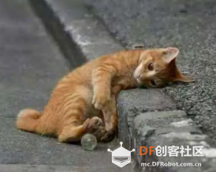 【HUSKYLENS二哈识图】micro:bit视觉识别入门 05 流浪猫狗投食机图1