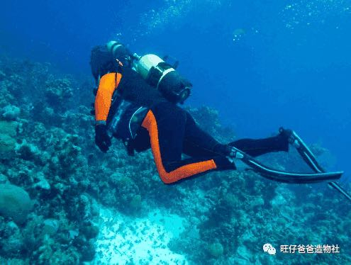 【掌控未来智造营】让你知道一个气球**的威力图5