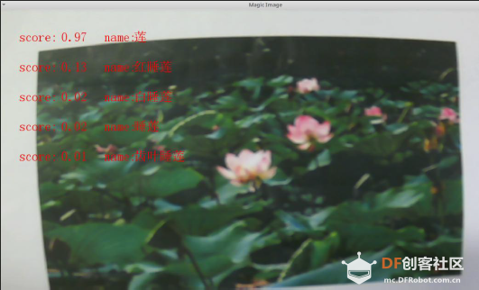 【虚谷号】动植物识别操作文档图5
