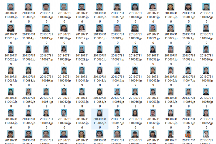 【天天向上】OpenVINO学习笔记（十二）测试真实环境识别效果图6