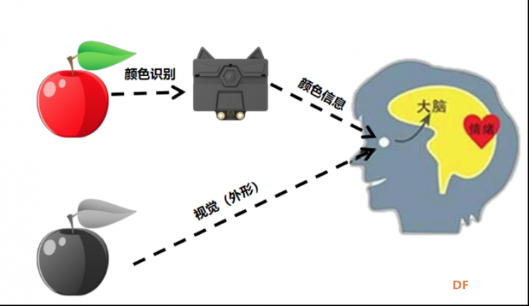 HuskyLens AI视觉传感器x掌控板：入门教程02—色彩钢琴图5