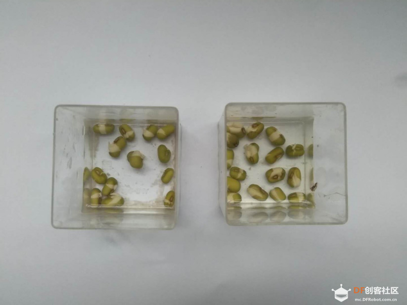 基于掌控板的种子发芽实验图13