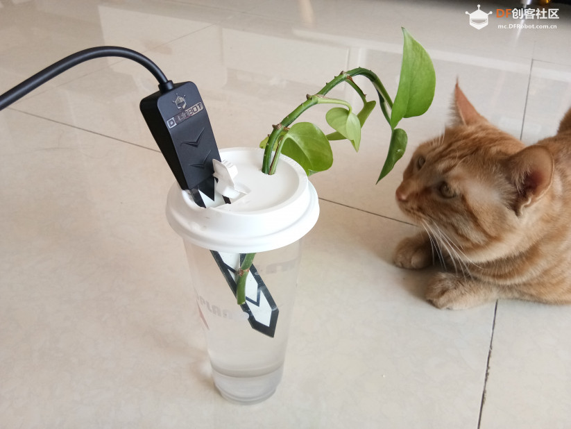 【土壤湿度传感器】水养绿萝看护器图2