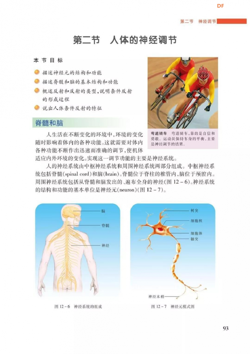 膝跳反射演示器图1
