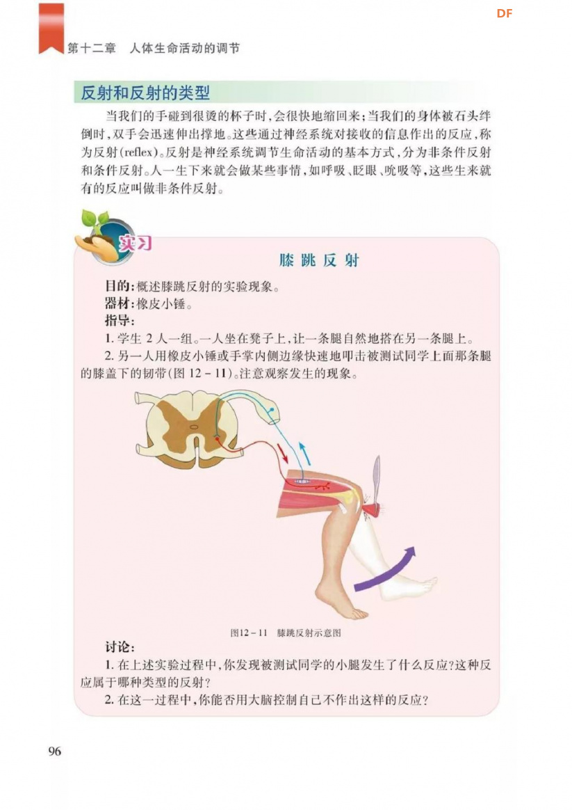 膝跳反射演示器图2