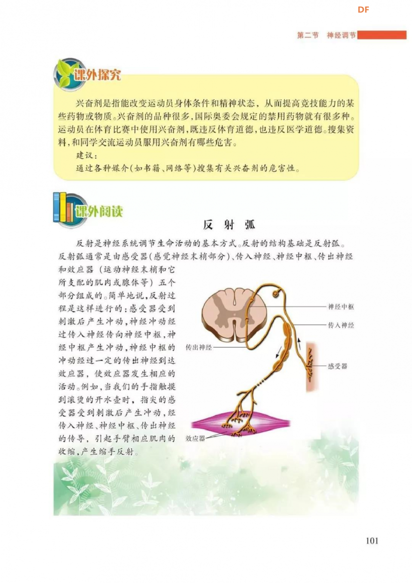 膝跳反射演示器图3