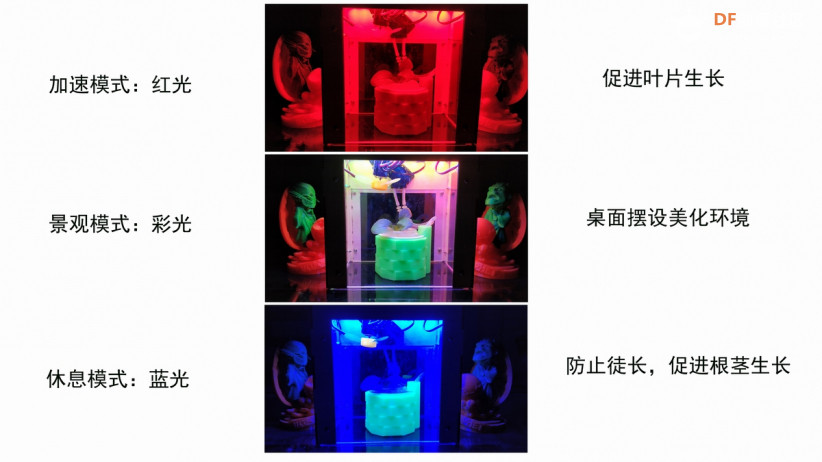 感知生长——桌面植物景观图2