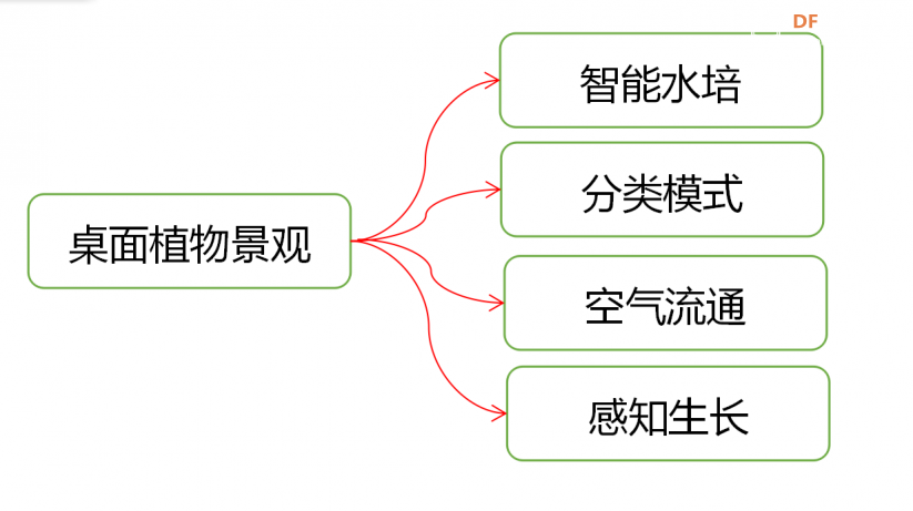 感知生长——桌面植物景观图5