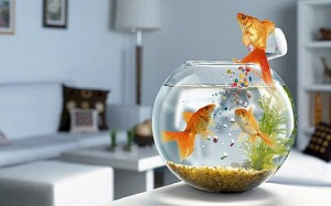 液位传感器选型指南图3