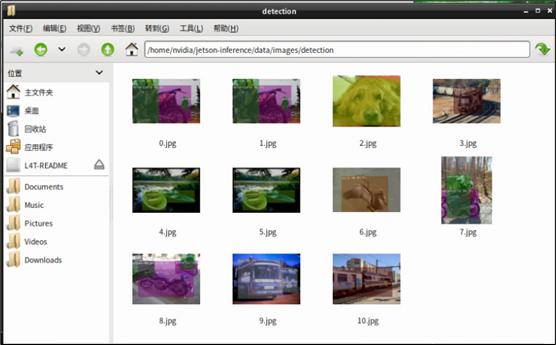 Jetson Nano 2GB 系列文章（18）：Utils 的 videoSource 工具图5