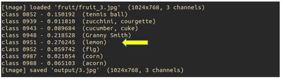 Jetson Nano 2GB 系列文章（22）： “Hello AI World” 图像分类代码图5