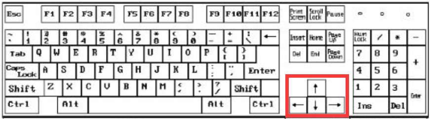 Mind+Python turtle 课程——07 小海龟抓鱼图2