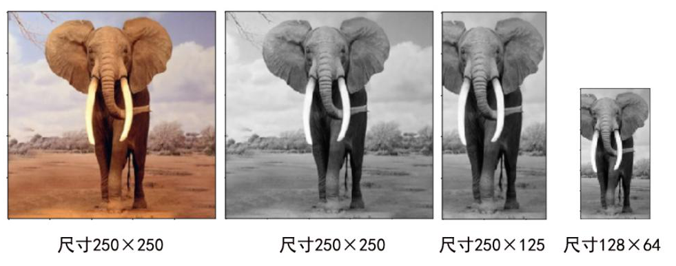 AI实验—基于HOG+SVM的大象检测系统图7