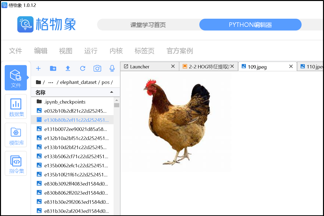 AI实验—基于HOG+SVM的大象检测系统图11