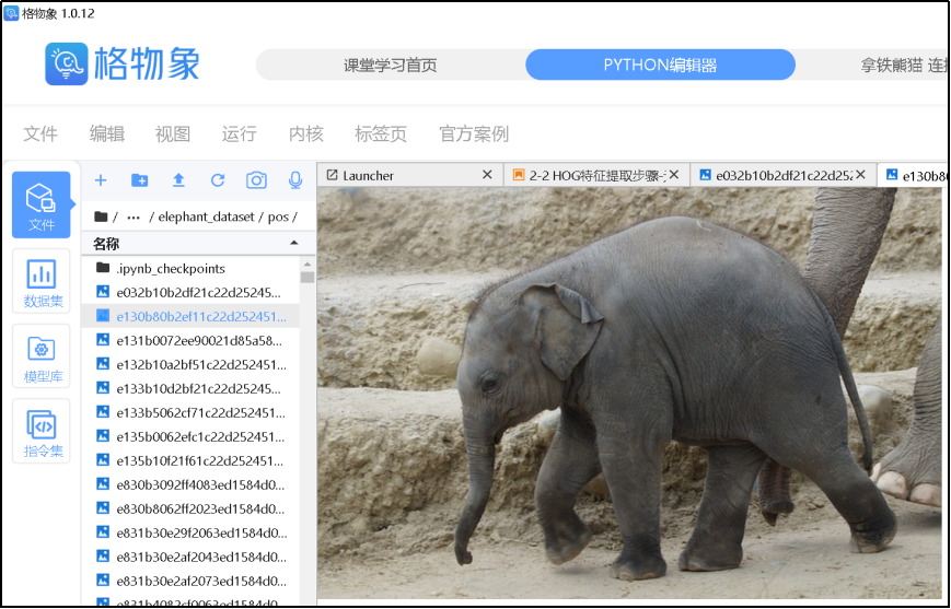AI实验—基于HOG+SVM的大象检测系统图12