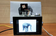 AI实验—基于HOG+SVM的大象检测系统图2