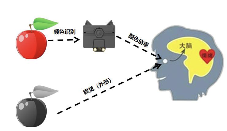 【HUSKYLENS二哈识图】micro:bit视觉识别入门教程—02 色彩钢琴图19