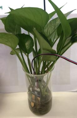 Mind+Python编程进阶系列课程—06植物监测仪图6