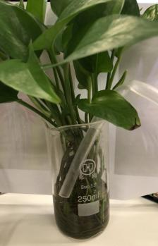 Mind+Python编程进阶系列课程—06植物监测仪图15