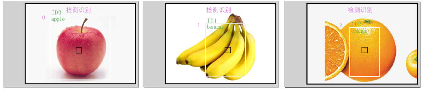小方舟检测识别——水果检测仪图10