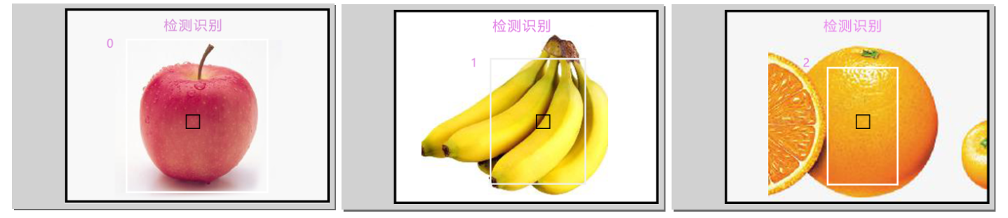 小方舟检测识别——水果检测仪图8