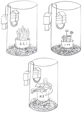 水下生物氧气自循环探测装置系列实验（一）图4