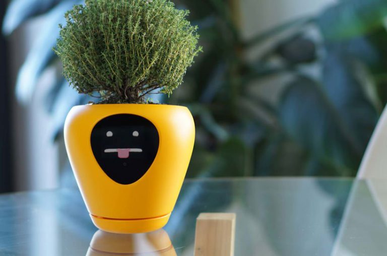 智能花盆把植物变成电子宠物图5